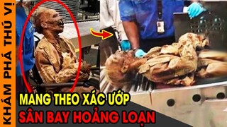 🔥 Cả Sân Bay H.oảng Loạn Khi Thấy Xác Ướp Trong Khu An Ninh Và 7 Bí Ẩn Xác Ướp Mà Bạn Chưa Từng Biết