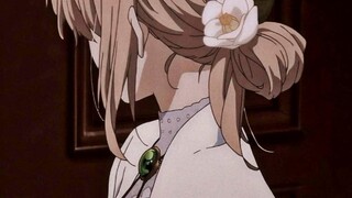 『Versi teatrikal dari ヴァイオレット・エヴァーガーデン》Terima kasih untuk PV-nya (dengan teks bahasa Mandarin)