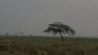 Kearifan Lokal +62 🗿