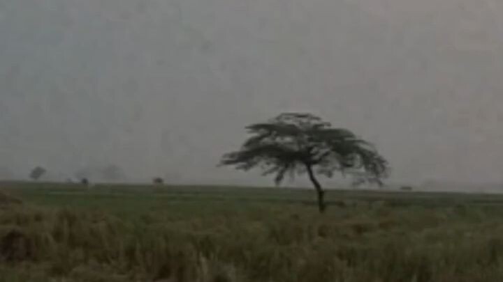 Kearifan Lokal +62 🗿