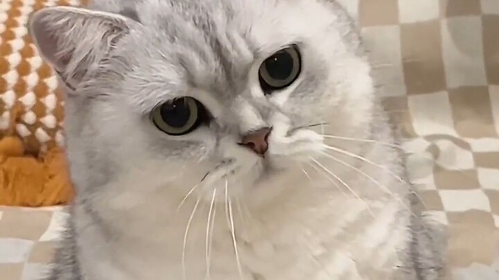 “ทำไมยังไม่มานั่งเป็นเพื่อนฉันเลย”