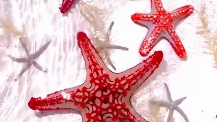 White foam housekeeper