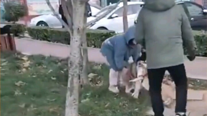 إذا مشيت الكلب بلا مقود، فهذا يعني أن الكلب هو من يقودك!