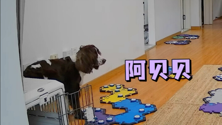 Kisah tentang makhluk dua kaki