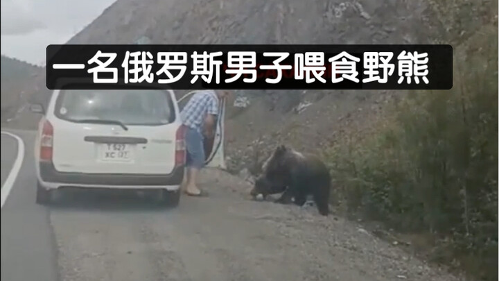 Russian Man Feeds Wild Bear