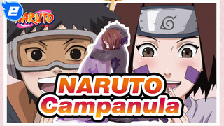 NARUTO|Campanula——I will always be watching you!_2