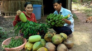Một Ngày Bội Thu Sau Nhiều Năm Chờ Đợi Của Đôi Vợ Chồng Trẻ| TKQ T450
