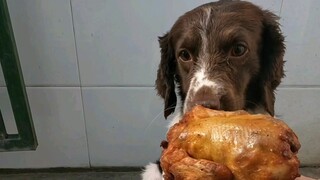 في تمرين طوارئ الإنقاذ المائي، بعد أن نجح با تشيان في إنقاذ شخص "سقط في الماء"، حصل على مكافأة عبارة