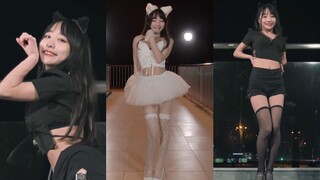 [Like A Cat] Ingin Menjadi Kucing Yang Lucu Dan Seksi