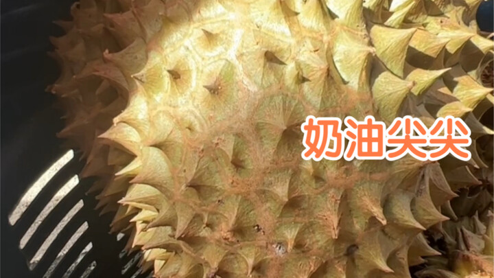Among the many durians, let’s learn to tell apart the creamy-fleshed ones with pointy, thin spines f