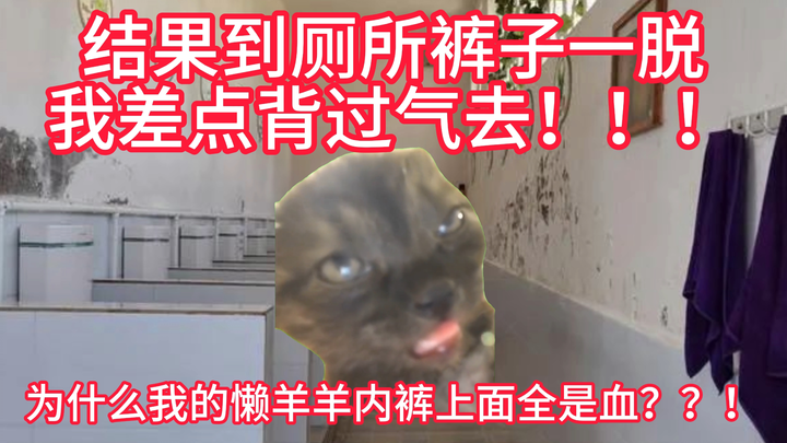 【猫meme】关于我小学五年级来月经以为自己得绝症这件事