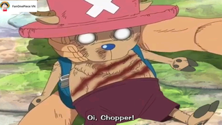 Zoro and Chopper [AMV] #anime #onepiece #daohaitac