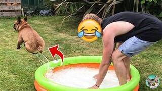 Funny Pets Reaction Videos 2021- Try Not To Laugh| Amazing Animals