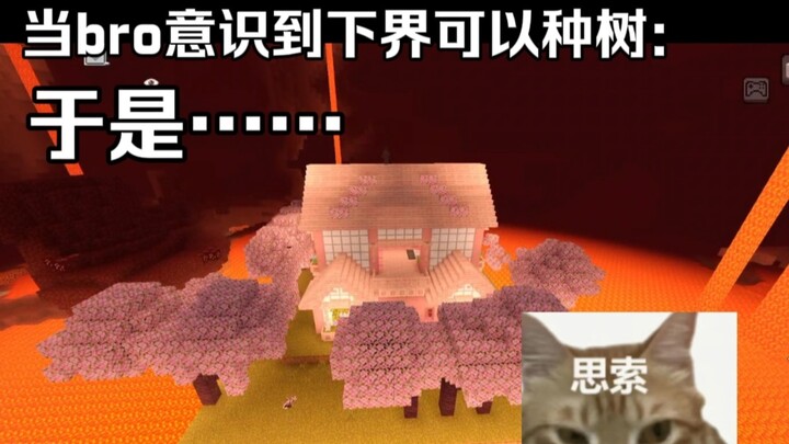 Minecraft: When Bro realized you can grow trees in the Nether, he…