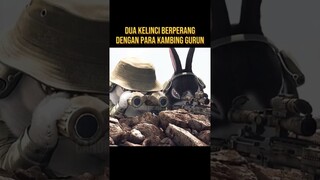 DUA KELINCI MENYERANG KAMBING GURUN #alurceritafilm #film