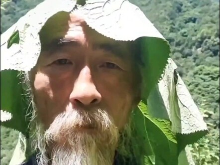 门外明明是自由的味道...