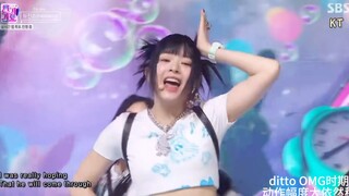 【Silent Compilation】Witnessing Xiao Mianbao's Rapid Progress in Two Years of Silent Practice—Let Me 