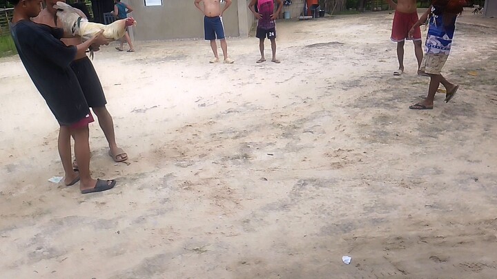white vs black fastees kill