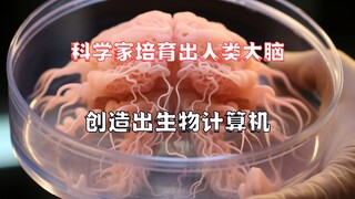 ข่าวด่วน! นักวิทยาศาสตร์ปลูกสมองมนุษย์ในห้องทดลองและสร้างคอมพิวเตอร์ชีวภาพ