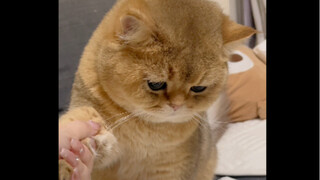 ฉันตื่นขึ้นกลางดึกแล้วไปเหยียบเท้าเขา แต่ฉันไม่สามารถหยุดเขาได้