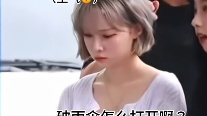 【คิม มินจอง】ย้อนดูเจ้าหมาน้อยซุ่มซ่ามที่กางร่มไม่ออก และถูก “การโจมตีแทน” จากร่มของตัวเอง