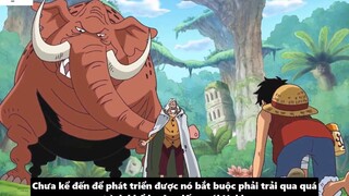 Trái Ác Quỷ và Haki Cái Nào Mạnh Hơn_ - Ưu Điểm & Nhược Điểm _ Phân Tích One Pie