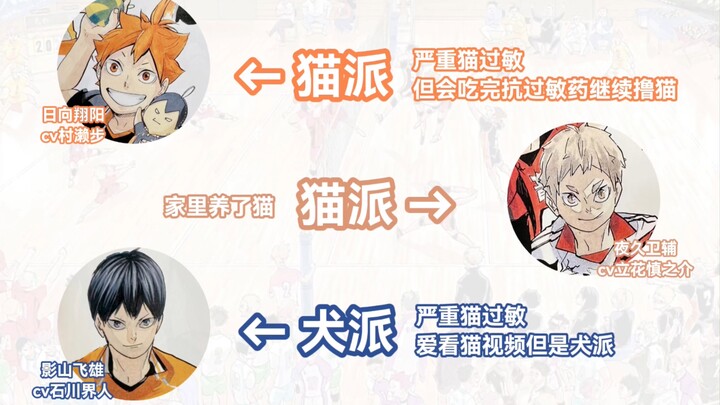 [Mature film] Haikyuu! Broadcasting Cat Party? Dog Party? Both are cute! "Karasuno High School Broad