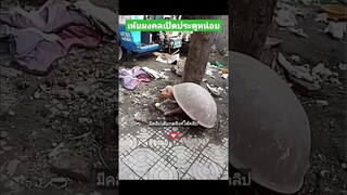 เห้ยมงคลเปิดประตูหน่อย
