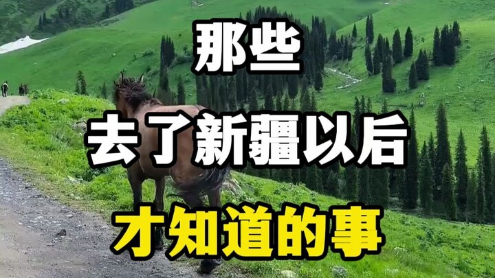Hal-hal yang baru kamu ketahui setelah pergi ke Xinjiang, mungkin akan mengubah pandanganmu sepenuhn