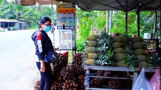 Đặc Sản Cù Lao Tắc Cậu, Nức Tiếng Miền Nam | MTQH