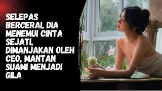 Selepas bercerai, dia menemui cinta sejati, dimanjakan oleh CEO, mantan suami menjadi gila