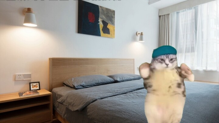 Cat meme｜The wonderful experience of circumcision
