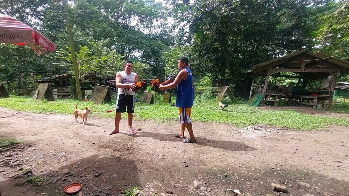 Tara na sa Farm