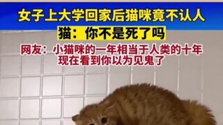 Today's little cutie is now online, sharing for today.