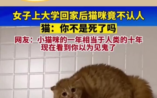 Today's little cutie is now online, sharing for today.