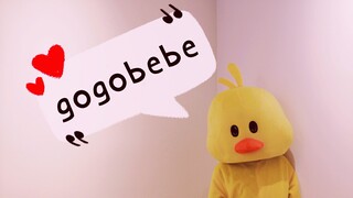 【二黄】mamamoo♡gogobebe舞蹈翻跳