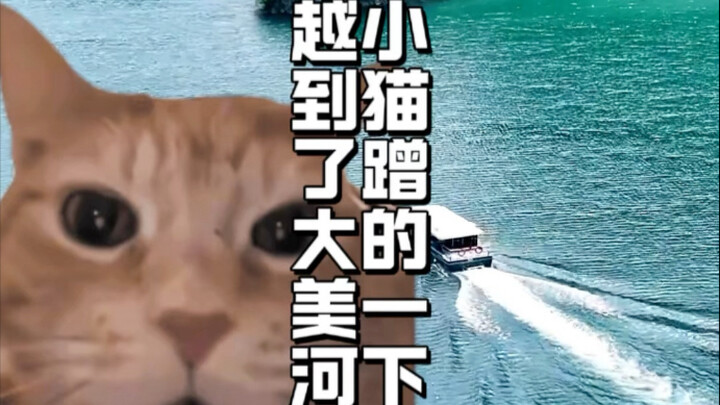 Watch closely—when the elderly man gently touched the cat, the cat actually teleported to… #Unbeliev