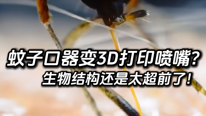 Turning a mosquito’s mouthpart into a 3D-printed nozzle—biological structures are still way ahead of
