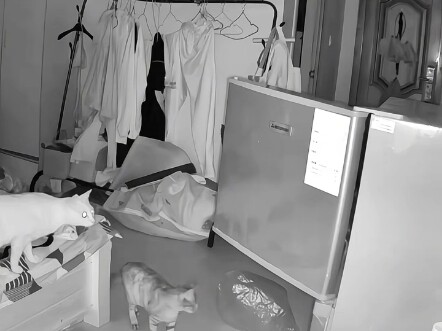 Jujur aja, aku nggak akan melewatkan satu pun kesempatan untuk menuntut kalian, bahkan kalau kalian 