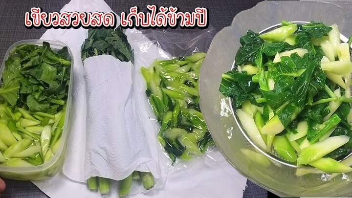 กินเจปีนี้ไม่ต้องกลัวผักแพง 3 วิธีเก็บผักคะน้า เขียวสวยสด เก็บได้ข้ามปี Asia Food Secrets