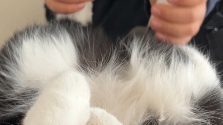 Bụng sấm sét rồi!