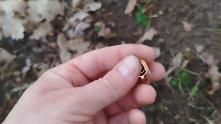 GOLD ring and coin from the 17th century! In Poland