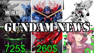 EXPENSIVE Figure Bonanza, Road to Gunpla Battle, Haman-Sama Top Zaku, And More [Gundam News]