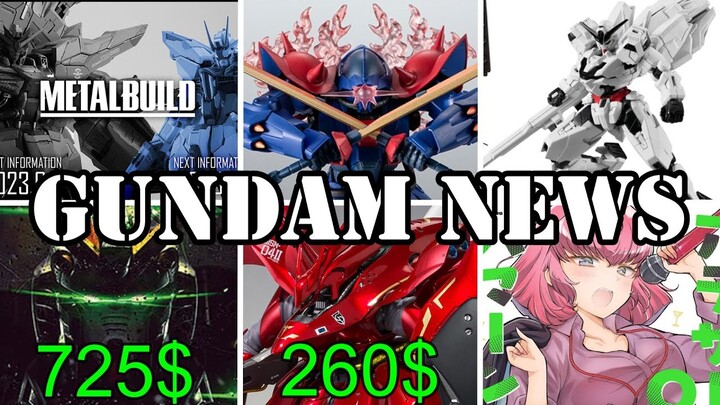 EXPENSIVE Figure Bonanza, Road to Gunpla Battle, Haman-Sama Top Zaku, And More [Gundam News]