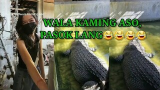 WALA KAMING ASO, PASOK LANG, PINOY MEMES, FUNNY VIDEOS