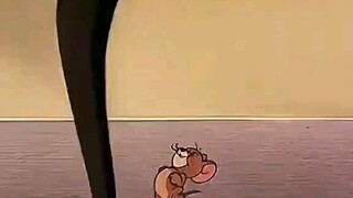 #tom #jerry #tomandjerry