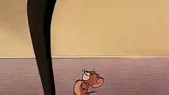 #tom #jerry #tomandjerry