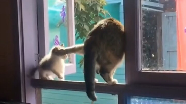 “Ketahuan lagi bikin ulah!”