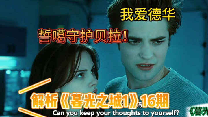 我刘波儿，誓死守护贝拉！！——过度解读《暮光之城1》第16期