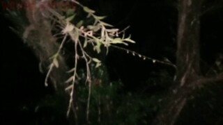 NYARI POCONG..!!JALAN JALAN MALAM KKN.!!MISTERI RUMAH ANGKER BILABONG BOGOR